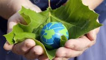 ecological sustainability world in hands