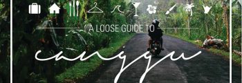Co-Wrote A Travel Guide